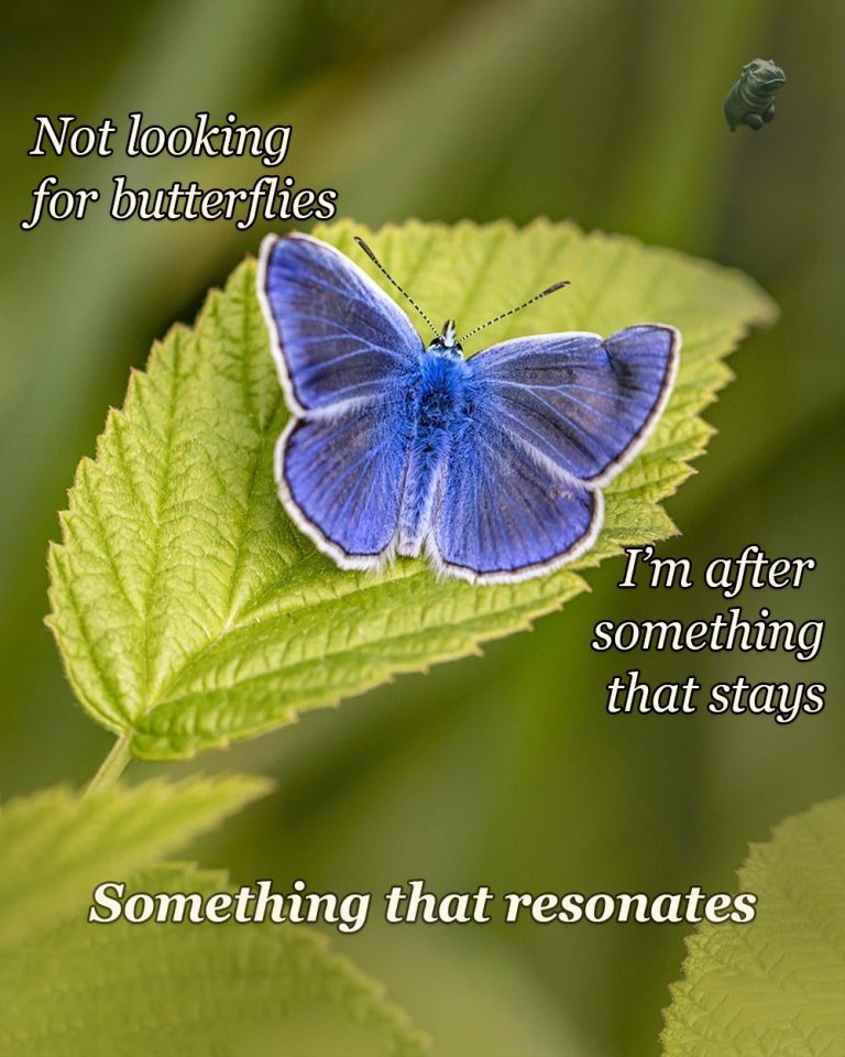 Resonation Not Butterflynation