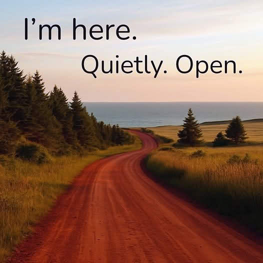 Quietly Open I Wait For You