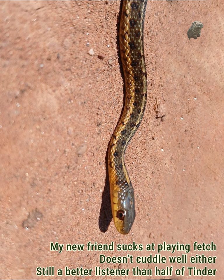 Don’t Stomp on What You Don’t Understand